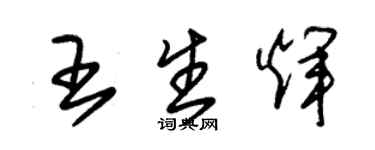 朱錫榮王生輝草書個性簽名怎么寫