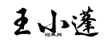 胡問遂王小蓬行書個性簽名怎么寫