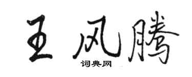 駱恆光王風騰行書個性簽名怎么寫