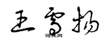 曾慶福王雪揚草書個性簽名怎么寫