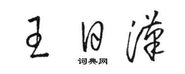 駱恆光王日漢草書個性簽名怎么寫