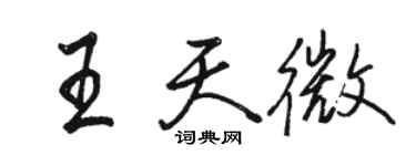 駱恆光王天微行書個性簽名怎么寫