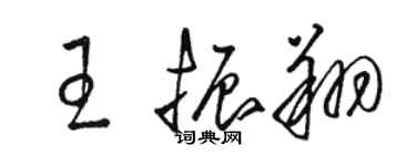 駱恆光王振翔草書個性簽名怎么寫