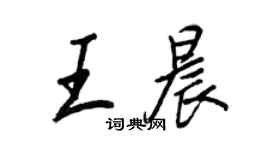 王正良王晨行書個性簽名怎么寫