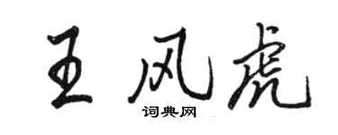 駱恆光王風虎行書個性簽名怎么寫