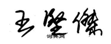 朱錫榮王堅傑草書個性簽名怎么寫