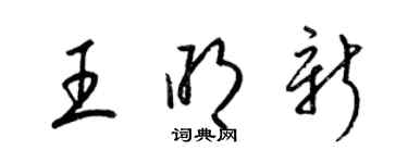 梁錦英王明新草書個性簽名怎么寫