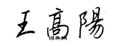 王正良王高陽行書個性簽名怎么寫
