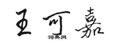 駱恆光王可嘉行書個性簽名怎么寫