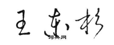 駱恆光王東杉草書個性簽名怎么寫