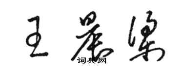 駱恆光王晨梁草書個性簽名怎么寫