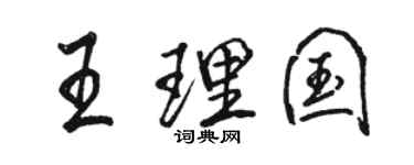 駱恆光王理國行書個性簽名怎么寫