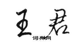 駱恆光王君行書個性簽名怎么寫