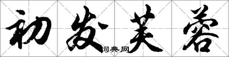 胡問遂初發芙蓉行書怎么寫