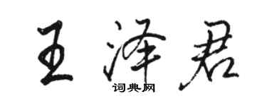 駱恆光王澤君行書個性簽名怎么寫