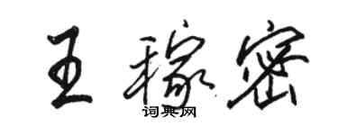 駱恆光王稼密行書個性簽名怎么寫