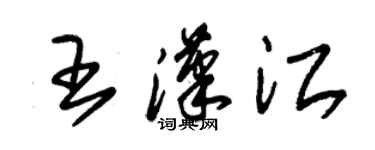 朱錫榮王漢江草書個性簽名怎么寫