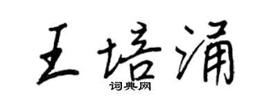 王正良王培涌行書個性簽名怎么寫