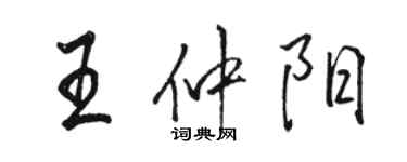 駱恆光王仲陽行書個性簽名怎么寫