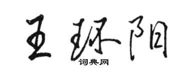 駱恆光王環陽行書個性簽名怎么寫