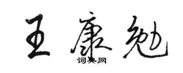 駱恆光王康勉行書個性簽名怎么寫