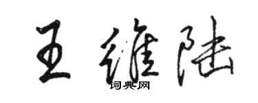 駱恆光王維陸行書個性簽名怎么寫