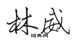 駱恆光林威行書個性簽名怎么寫