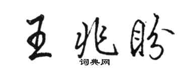 駱恆光王兆盼行書個性簽名怎么寫