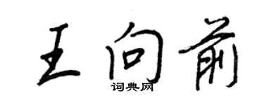 王正良王向前行書個性簽名怎么寫
