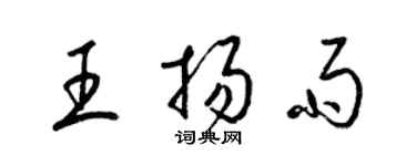 梁錦英王揚雨草書個性簽名怎么寫