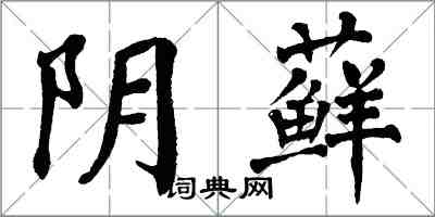 翁闓運陰蘚楷書怎么寫