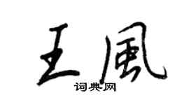 王正良王風行書個性簽名怎么寫