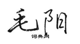 駱恆光毛陽行書個性簽名怎么寫