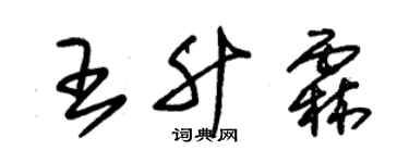 朱錫榮王升霖草書個性簽名怎么寫