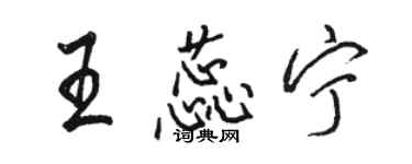 駱恆光王蕊寧行書個性簽名怎么寫