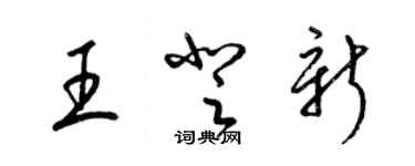 梁錦英王登新草書個性簽名怎么寫