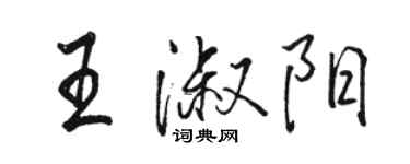 駱恆光王淑陽行書個性簽名怎么寫