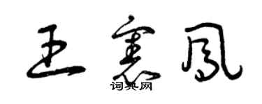 曾慶福王憲鳳草書個性簽名怎么寫