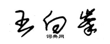 朱錫榮王向峰草書個性簽名怎么寫