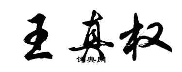 胡問遂王真權行書個性簽名怎么寫