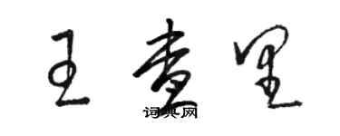 駱恆光王查里草書個性簽名怎么寫