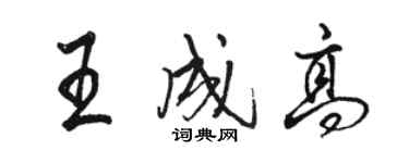 駱恆光王成高行書個性簽名怎么寫