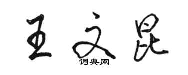 駱恆光王文昆行書個性簽名怎么寫