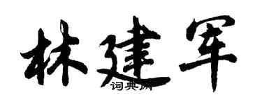 胡問遂林建軍行書個性簽名怎么寫