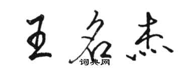 駱恆光王名傑行書個性簽名怎么寫