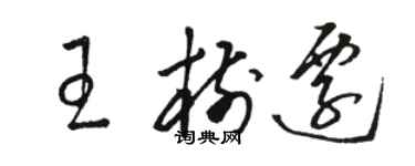 駱恆光王樹遷草書個性簽名怎么寫