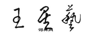 駱恆光王星藝草書個性簽名怎么寫