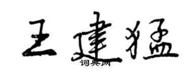 曾慶福王建猛行書個性簽名怎么寫