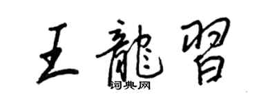 王正良王龍習行書個性簽名怎么寫