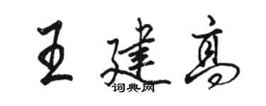 駱恆光王建高行書個性簽名怎么寫